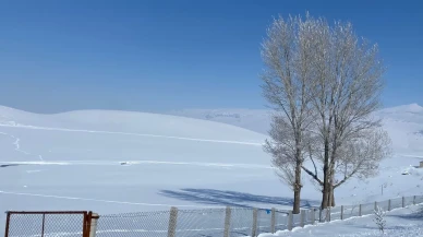 Patnos'ta kar yağışıyla beyaza bürünen köy kartpostallık manzaralar sundu