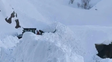 Batman'ın Sason ilçesinde kar nedeniyle kapanan mezra yolları ulaşıma açıldı