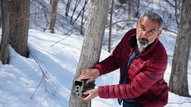 Erzincan'da fotokapanlarla vaşak ve kurt görüntülendi