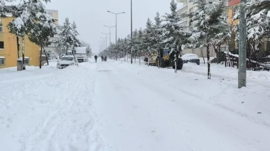 dicle'de yoğun kar yağışı hayatı olumsuz etkiledi