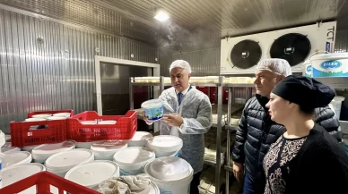 Antakya'da süt ürünleri üreten firma il tarım ve orman müdürlüğü ekiplerince incelendi