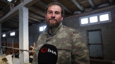 Adana'nın Feke ilçesinde kurt saldırıları nedeniyle hayvancılık yapılamaz hale geldi