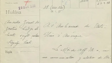 Erzurum'dan ABD'ye gönderilen çoban köpekleri Karabaş ve Fındık'ın hikayesi