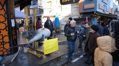 Erzincan'da Atlantik Okyanusu'ndan gelen 365 kiloluk dev orkinos tezgâhta sergilendi