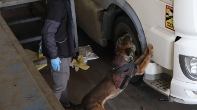 Kapıkule’de sınır kapısında 144 kilo esrar ele geçirildi