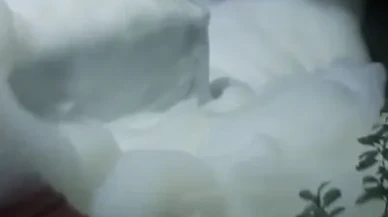 Yalova'da su hattında köpüklenme olayına karışan 3 şüpheliye 5'er yıl hapis cezası