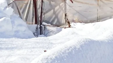 Hakkari’de yoğun kar yağışı seraları çökertti