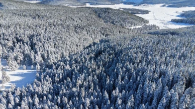 Bolu’da Sarıalan Yaylası kış mevsimiyle beyaza büründü