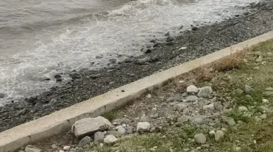 Yalova'da kontrolden çıkan pikap denize uçtu, 1 kişi hafif yaralandı