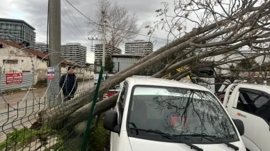 Bursa'da şiddetli lodosun devirdiği ağaçlara Osmangazi Belediyesi ekipleri anında müdahale etti