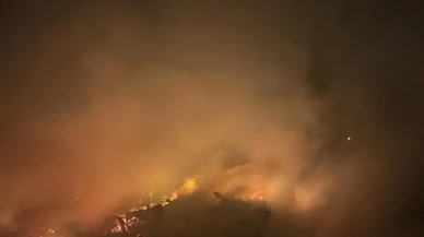 Filyos'ta ağaçlık alanda çıkan yangın itfaiye tarafından söndürüldü