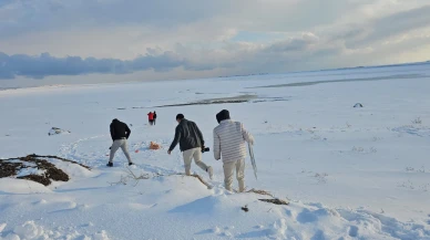 Bitlis'in Adilcevaz ilçesinde kuş cenneti olarak bilinen Arin Gölü tamamen dondu