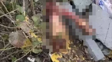 Sakarya'da otoyol kenarında bulunan kemikler jandarmayı at kasaplarına götürdü