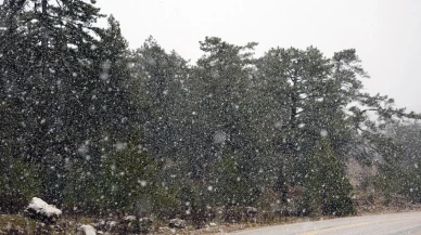 Muğla'nın yüksek kesimlerinde kar yağışı etkili olmaya başladı