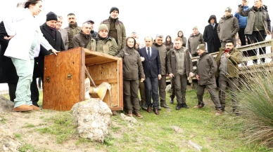 Samsun'da Kızılırmak Deltası'nda 81 binden fazla göçmen kuş halkalandı