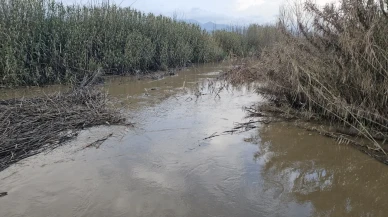 Sultanhisar'da kurutma kanalı taştı, tarım arazileri sular altında kaldı