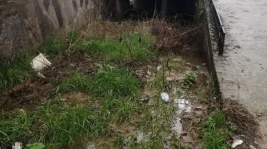 Aydın’da ASKİ ekipleri tarafından yapılan temizlik çalışmasıyla taşkın önlendi