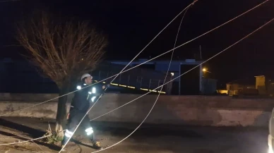 Alaca'da kamyon elektrik ve telefon hatlarına zarar verdi