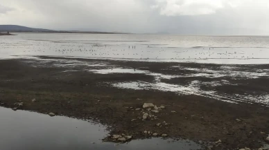 son yağışlar Beyşehir Gölü’ne umut oldu ve su seviyesi yükseldi