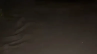 Kuşadası’nda dere taştı, alışveriş merkezi sular altında kaldı