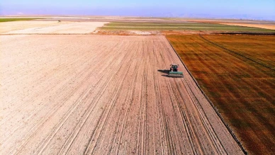 Konya Ovası'nda yağışlar yetersiz kalınca çiftçiler gelecek sezon için endişeli