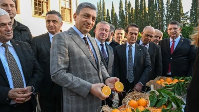 Antalya'da tescillenen portakal çeşitleri dünya pazarındaki yerini aldı