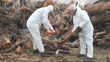 Manisa'da budanan ağaç dalları ihtiyaç sahiplerini ısıtıyor