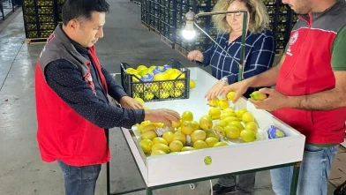 Ortaca’da ihracata giden ürünler Bitki Sağlık Sertifikası alarak onaylandı