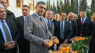 Antalya'da tescillenen portakal çeşitleri dünya pazarındaki yerini aldı