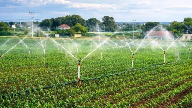 Samsun’da kırsal üretimi desteklemek için 33,6 milyon liralık hibe sağlandı