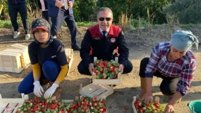 aydın'da 2025 yılında 3 bin 600'ü aşkın tarımsal denetim yapıldı