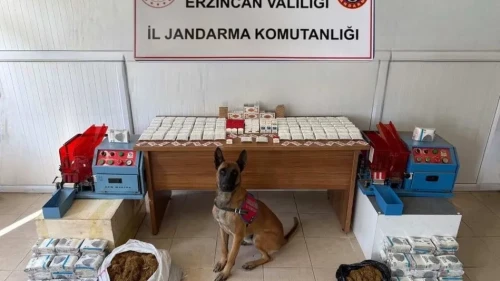 Erzincan'da jandarma kasım ayında 124 olayın yüzde 93'ünü aydınlattı