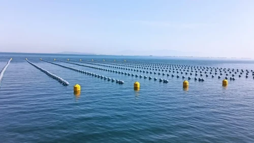 İstanbul'da gıda zehirlenmesi vakaları sonrası kaçak midye uyarısı yapıldı