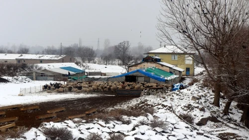 Erzincan'da kar yağışıyla toprak damlı evlerde yaşayanlar baca küreme işine başladı