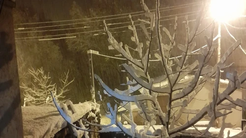 Ahlat’ta yüksek kesimlerdeki köyler kar yağışıyla beyaza büründü