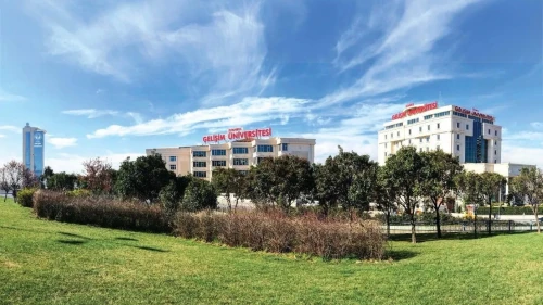 İstanbul Gelişim Üniversitesi öğrencileri gastronomi festivalinde altın madalya kazandı