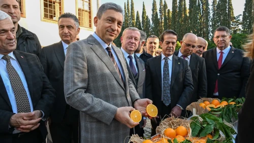 Antalya'da tescillenen portakal çeşitleri dünya pazarındaki yerini aldı