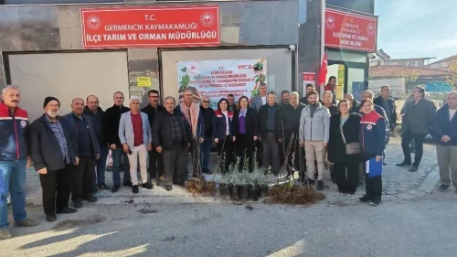 Germencik'te üreticilere 4 bin sertifikalı incir ve zeytin fidanı dağıtıldı