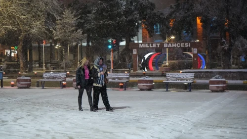 Erzincan'da kar yağışı etkili oldu