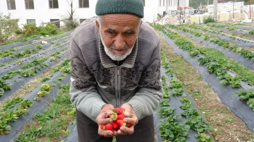 Hayır Bahçesi ile tanınan İbrahim dede bahçesinde fenalaşarak hayatını kaybetti
