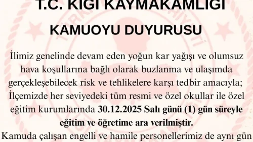 Bingöl'de yoğun kar nedeniyle 3 ilçede okullar tatil edildi, merkezde taşımalı eğitime ara