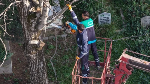 Başiskele'de budanan ağaç dalları ihtiyaç sahiplerine yakacak olarak dağıtılıyor