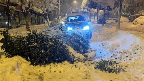 Karabük’te kar ağırlığı nedeniyle birçok ağacın dalları kırıldı