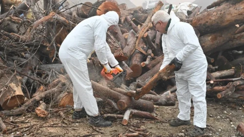 Manisa'da budanan ağaç dalları ihtiyaç sahiplerini ısıtıyor