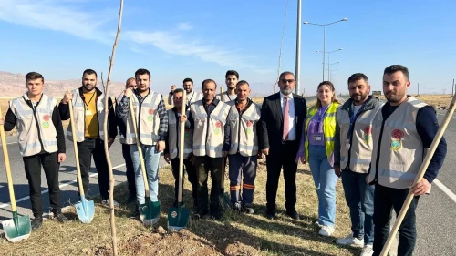 cizre’de havalimanı yolu 450 fidan ile yeşilleniyor