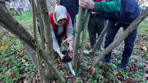 Düzce'de fındıkta verim ve kaliteyi artırmak için budama eğitimleri sürüyor