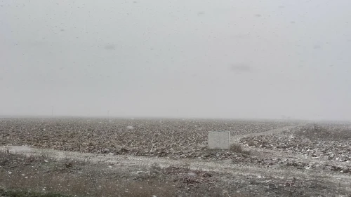 Eskişehir - Ankara kara yolunda tipi ve sis sürücülere zor anlar yaşattı