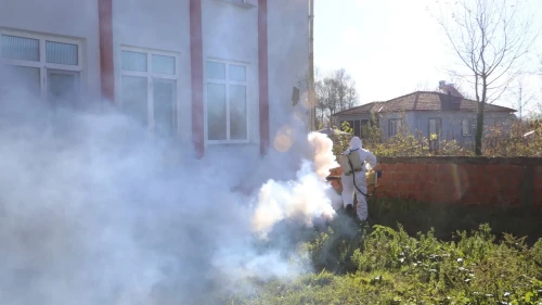 Manisa'da kahverengi kokarca kışlak mücadelesi devam ediyor