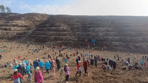 Adana'nın Kozan ilçesinde öğrenciler orman yangınında zarar gören alana fidan dikti