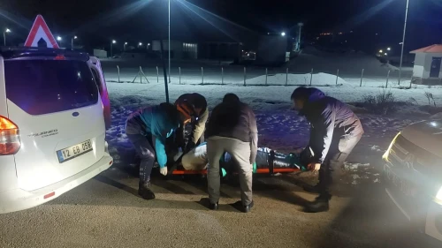 Bingöl’de otomobil domuz sürüsüne çarptı ve 3 kişi yaralandı